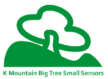 KMBIGTREE logo